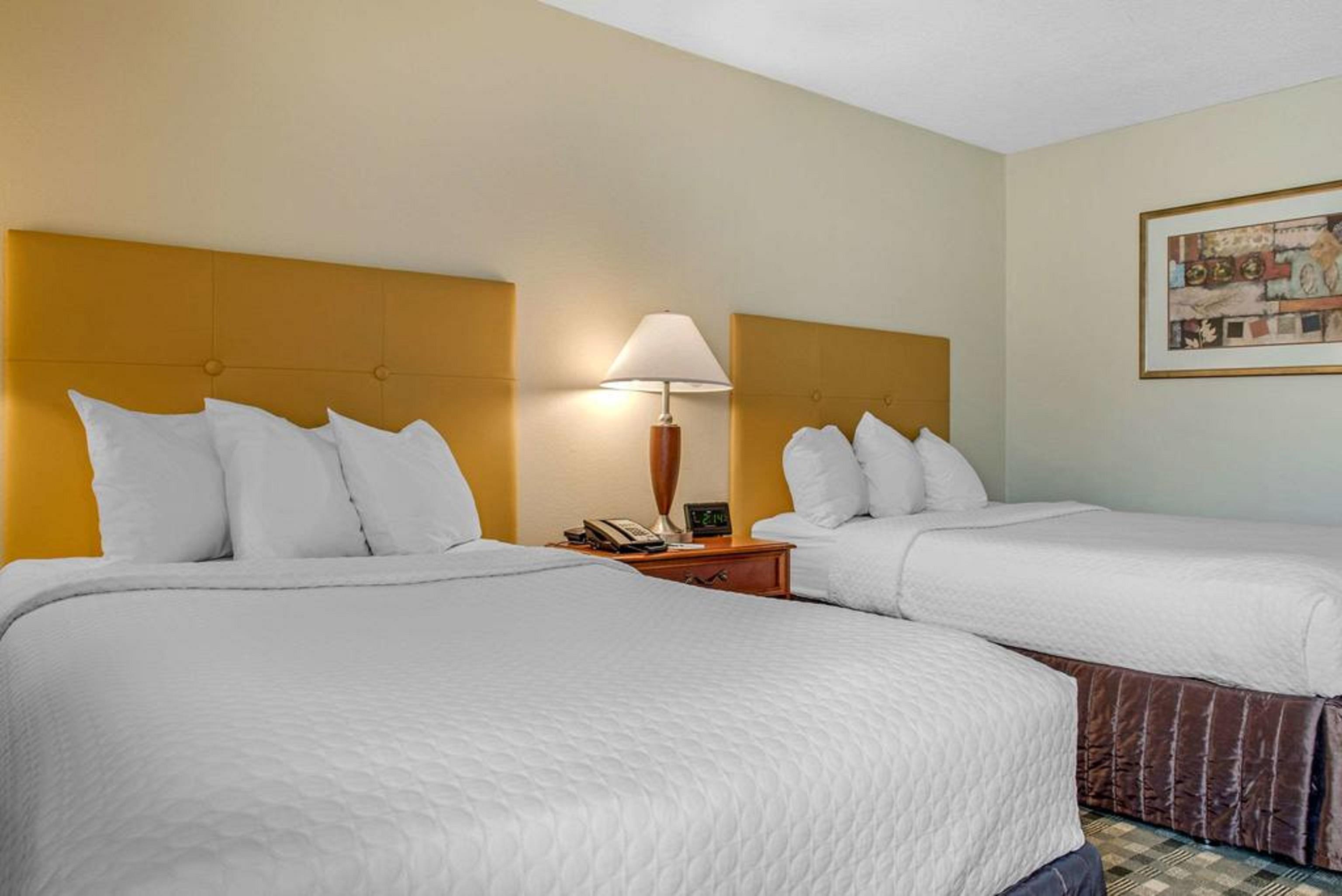 Quality Hotel Conference Center Cincinnati Блу-Аш Екстер'єр фото